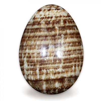 Aragonite Brown Egg